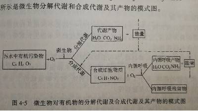 活性污泥法处理工业废水的机理