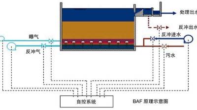 曝气生物滤池特征