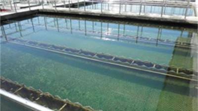 臭氧消毒工业废水的优势