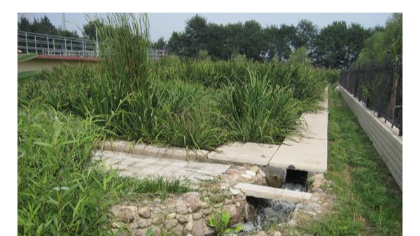 印制电路板（PCB）的浓废液污染物组成成分